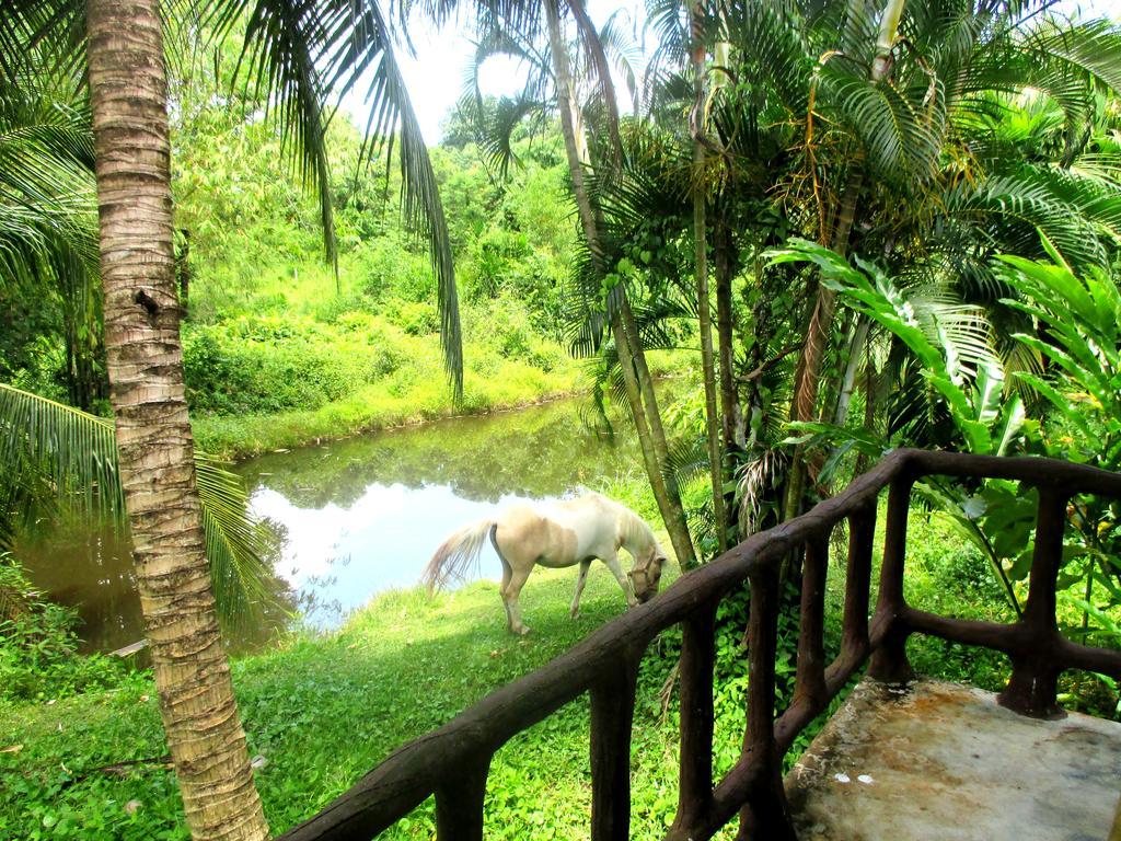 Happiness Resort Ban Khlong Haeng Eksteriør billede